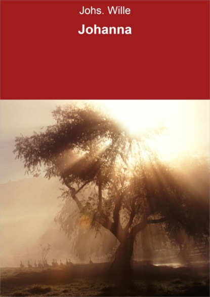 Скачать книгу Johanna