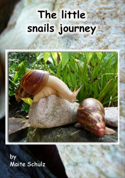 Скачать книгу The little snails journey