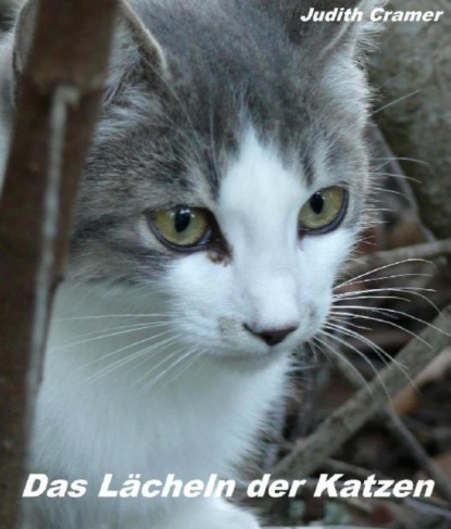 Das Lächeln der Katzen