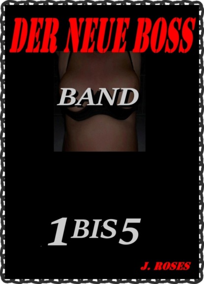 Скачать книгу Der neue Boss; Band 1 bis 5