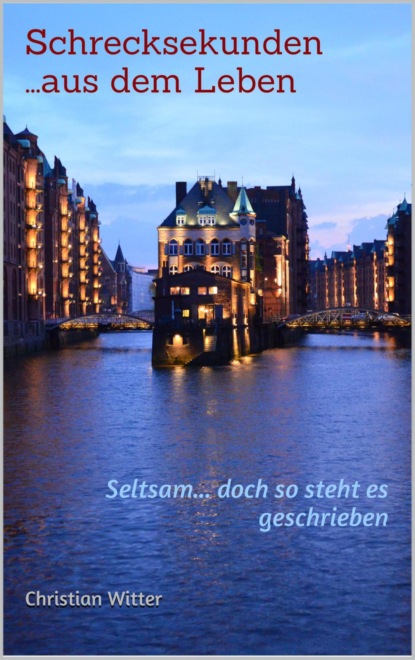 Скачать книгу Schrecksekunden ...aus dem Leben