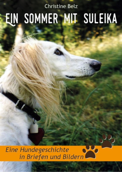 Скачать книгу Ein Sommer mit Suleika