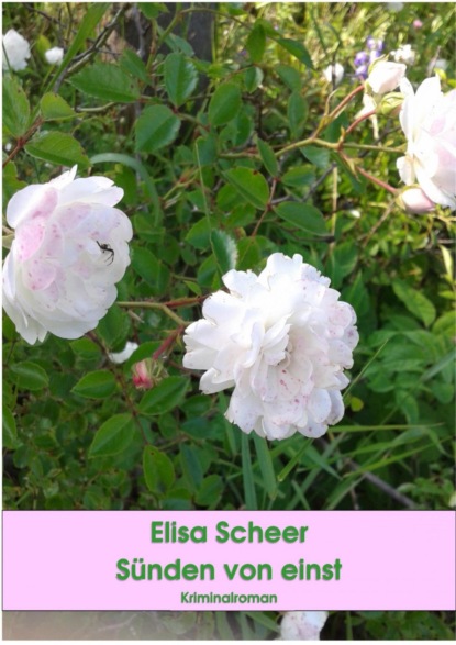 Скачать книгу Sünden von einst