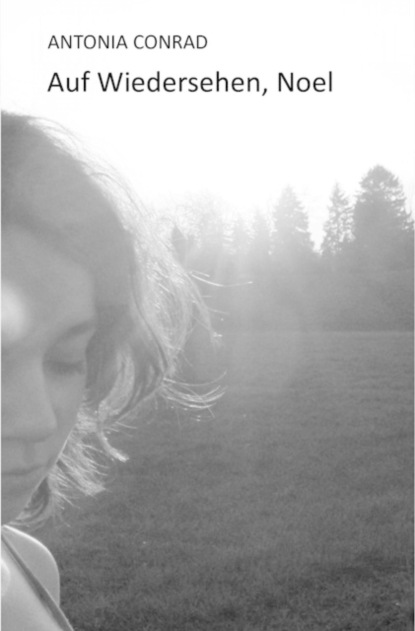Скачать книгу Auf Wiedersehen, Noel