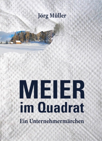 Скачать книгу Meier im Quadrat