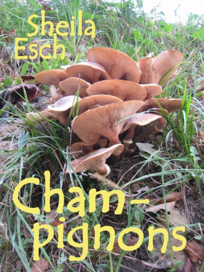 Скачать книгу Champignons