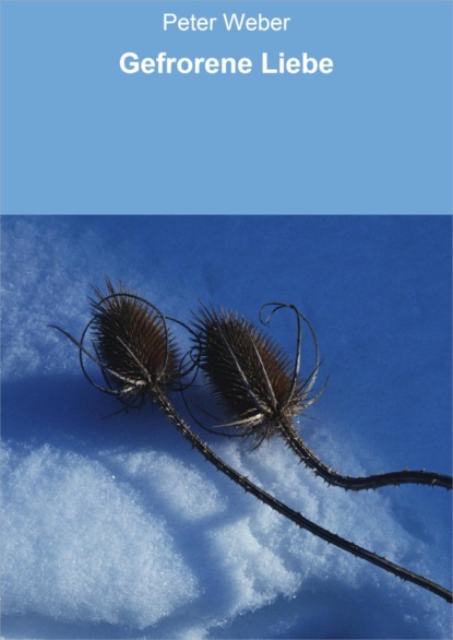 Скачать книгу Gefrorene Liebe