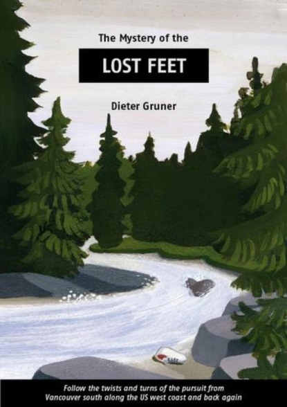Скачать книгу Lost Feet