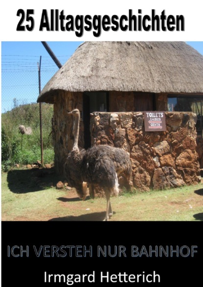 Скачать книгу - 25 Alltagsgeschichten - Lustige Kurzgeschichten