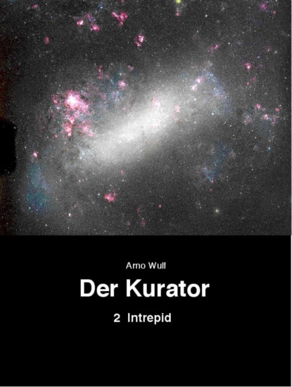 Скачать книгу Der Kurator, Band 2