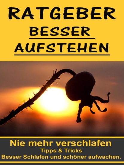 Скачать книгу Ratgeber besser aufstehen - Besser Schlafen und schöner aufwachen.