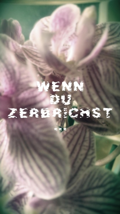 Скачать книгу Wenn du zerbrichst
