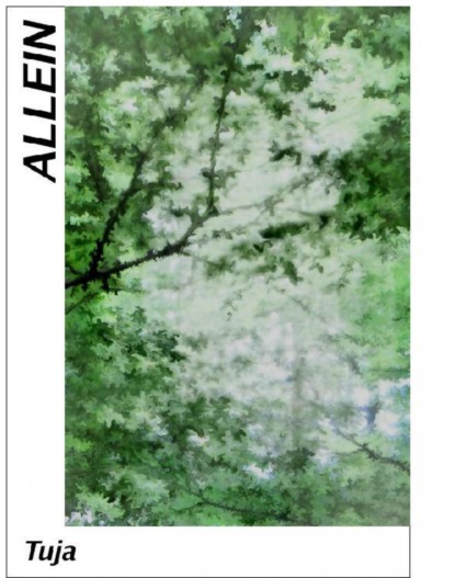 Скачать книгу Inzwischen denke ich, dass es besser ist, allein einsam zu sein, als einsam unter Menschen.