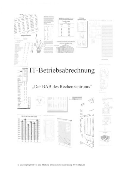 Скачать книгу IT-Betriebsabrechnung