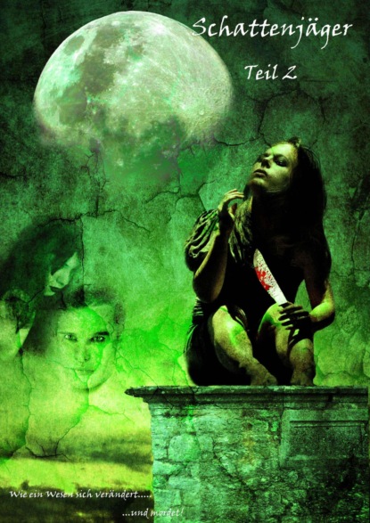 Скачать книгу Schattenjäger Teil 2
