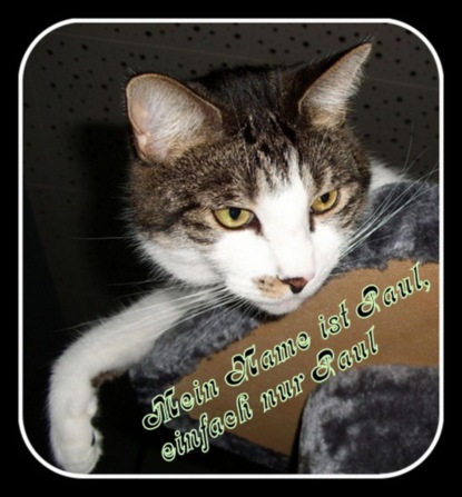 Скачать книгу Mein Name ist Paul, einfach nur Paul