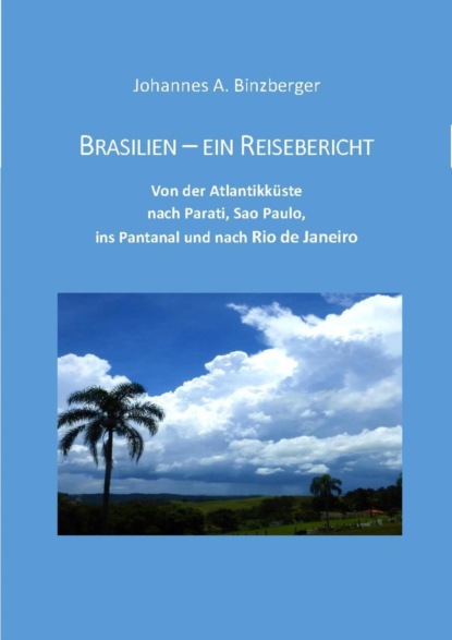 Скачать книгу Brasilien - ein Reisebericht