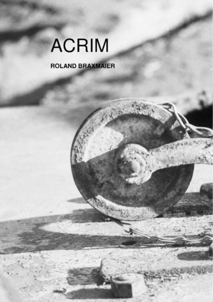 Скачать книгу ACRIM