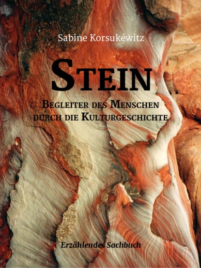 Скачать книгу Stein
