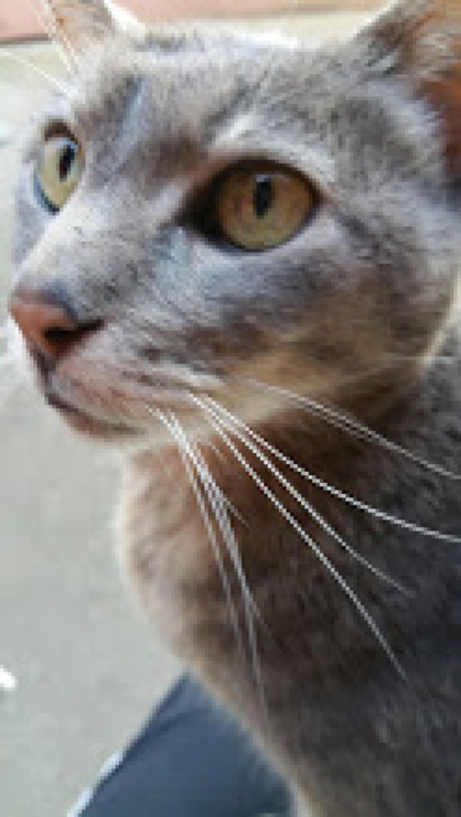 Скачать книгу Wenn Nachts die Träume Hüter sind im Paradies und auf Erden