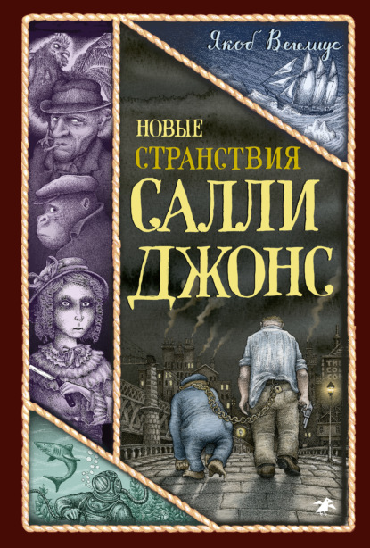 Скачать книгу Новые странствия Салли Джонс