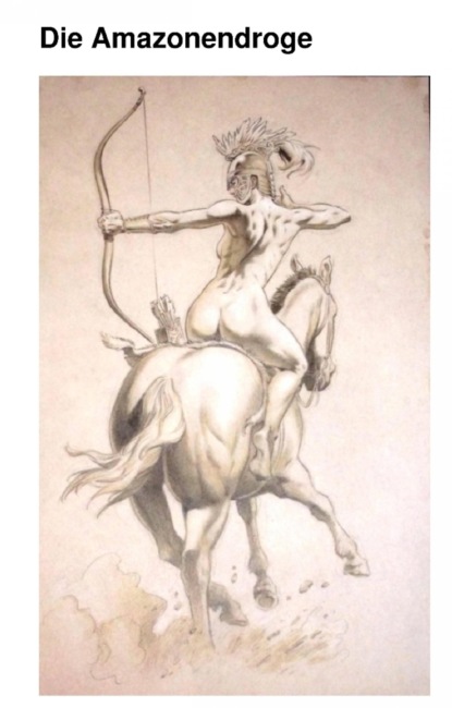 Скачать книгу Die Amazonendroge