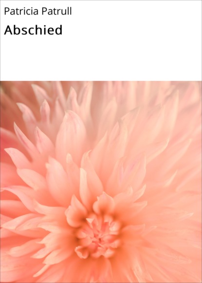 Скачать книгу Abschied