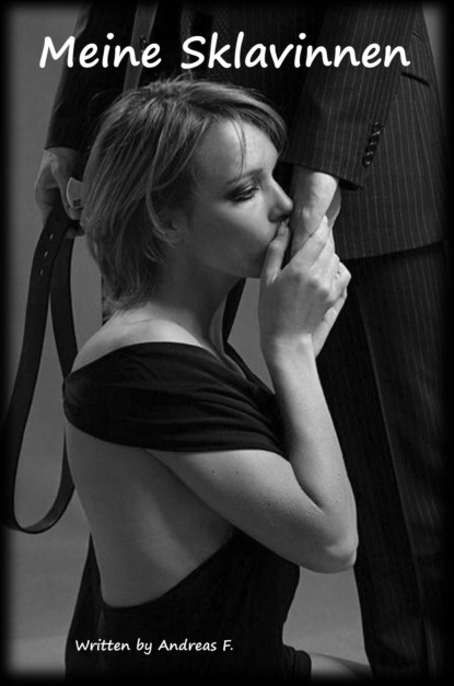 Скачать книгу Meine Sklavinnen