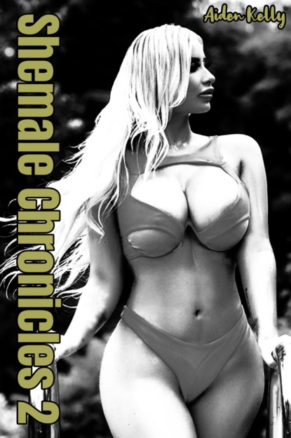 Скачать книгу Shemale Chronicles 2