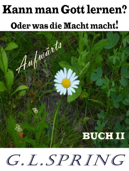 Скачать книгу Kann man Gott lernen oder was die Macht macht.
