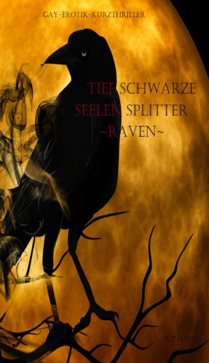 Скачать книгу Tiefschwarze Seelensplitter