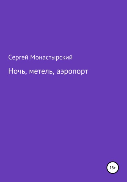 Скачать книгу Ночь, метель, аэропорт