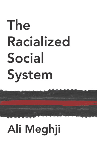 Скачать книгу The Racialized Social System