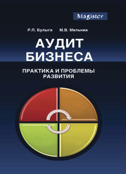 Скачать книгу Аудит бизнеса. Практика и проблемы развития