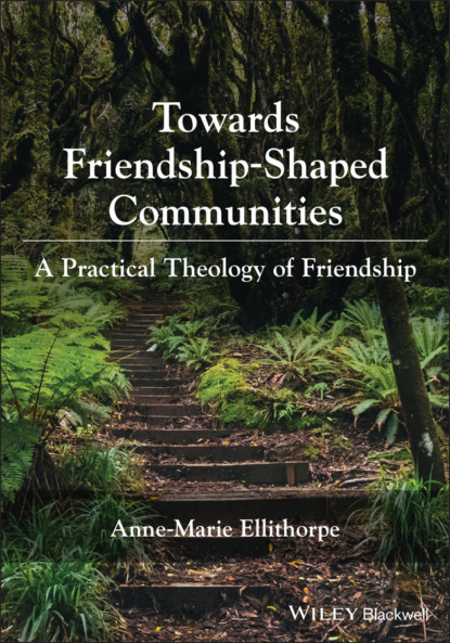 Скачать книгу Towards Friendship-Shaped Communities: A Practical Theology of Friendship