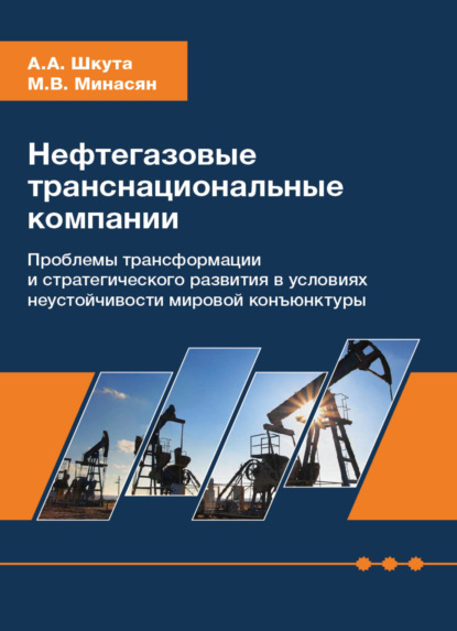 Скачать книгу Нефтегазовые транснациональные компании. Проблемы трансформации и стратегического развития в условиях неустойчивости мировой конъюнктуры