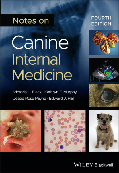 Скачать книгу Notes on Canine Internal Medicine