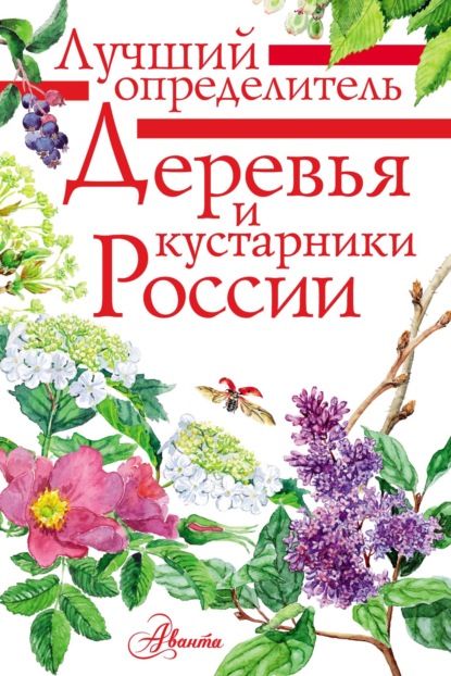 Скачать книгу Деревья и кустарники России. Определитель