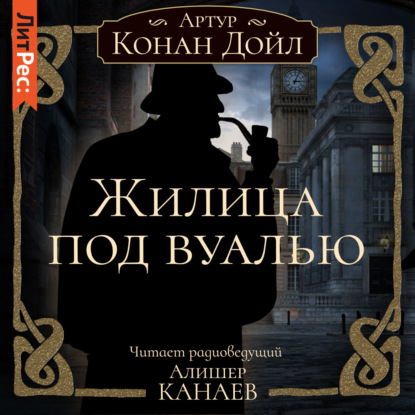 Скачать книгу Жилица под вуалью
