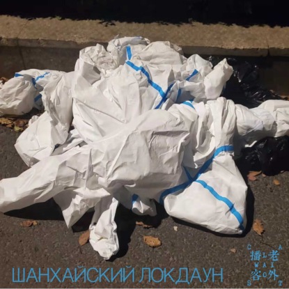 Скачать книгу Шанхайский локдаун: выход есть