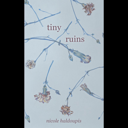 Скачать книгу Tiny Ruins (Unabridged)