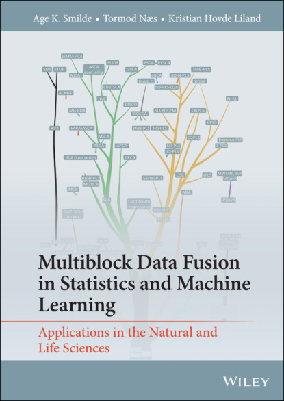 Скачать книгу Multiblock Data Fusion in Statistics and Machine Learning