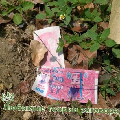 Скачать книгу любимые теории заговора
