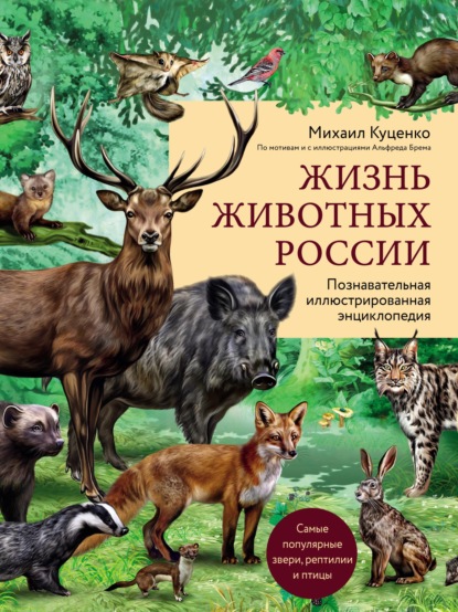 Скачать книгу Жизнь животных России. Познавательная иллюстрированная энциклопедия