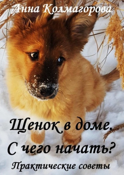 Щенок в доме. С чего начать? Практические советы