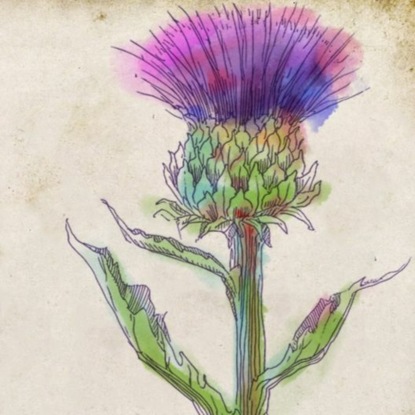 Скачать книгу Магические травы в славянской культуре