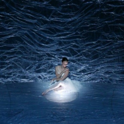 Скачать книгу История «Лебединого озера»