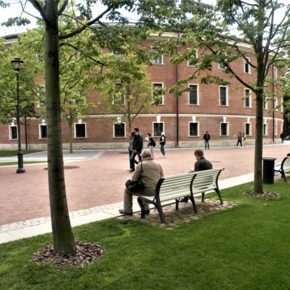 Скачать книгу История одного здания: «Бутылка» в Новой Голландии