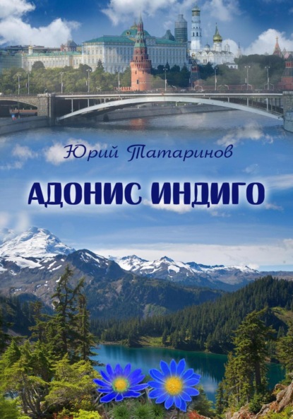 Скачать книгу Адонис Индиго