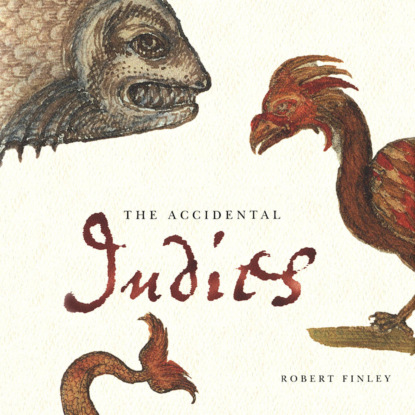 Скачать книгу The Accidental Indies (Unabridged)